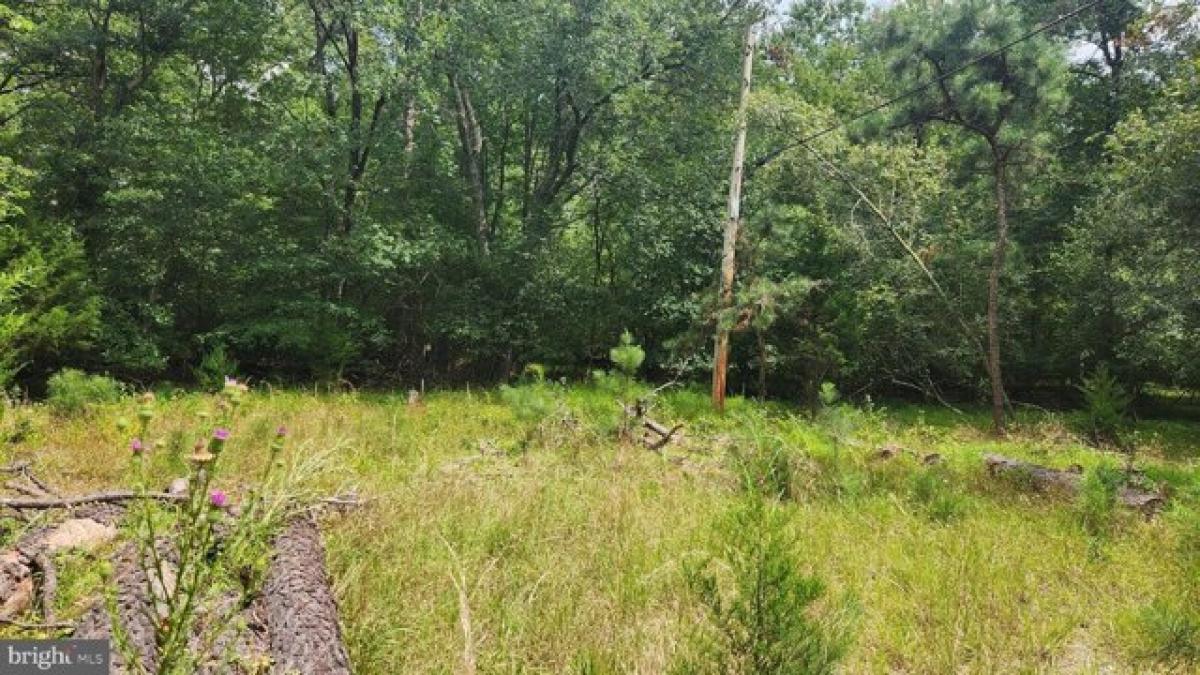 Picture of Residential Land For Sale in Buena, New Jersey, United States