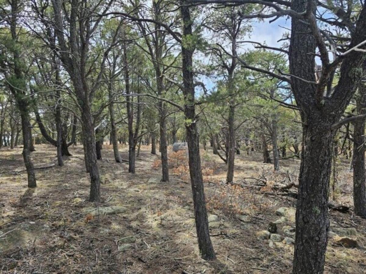 Picture of Residential Land For Sale in Trinidad, Colorado, United States