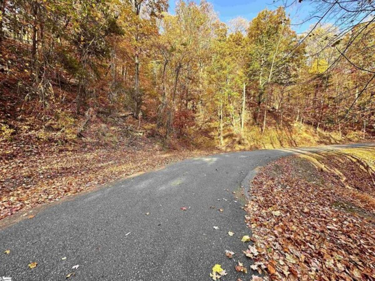 Picture of Residential Land For Sale in Columbus, North Carolina, United States