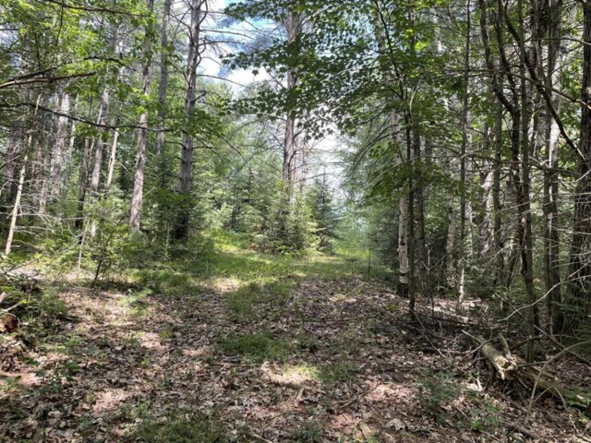 Picture of Residential Land For Sale in Eagle River, Wisconsin, United States