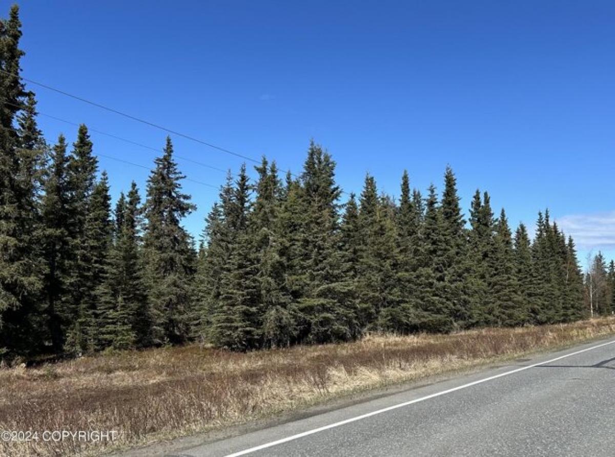 Picture of Residential Land For Sale in Kasilof, Alaska, United States