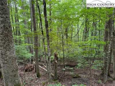 Residential Land For Sale in Beech Mountain, North Carolina