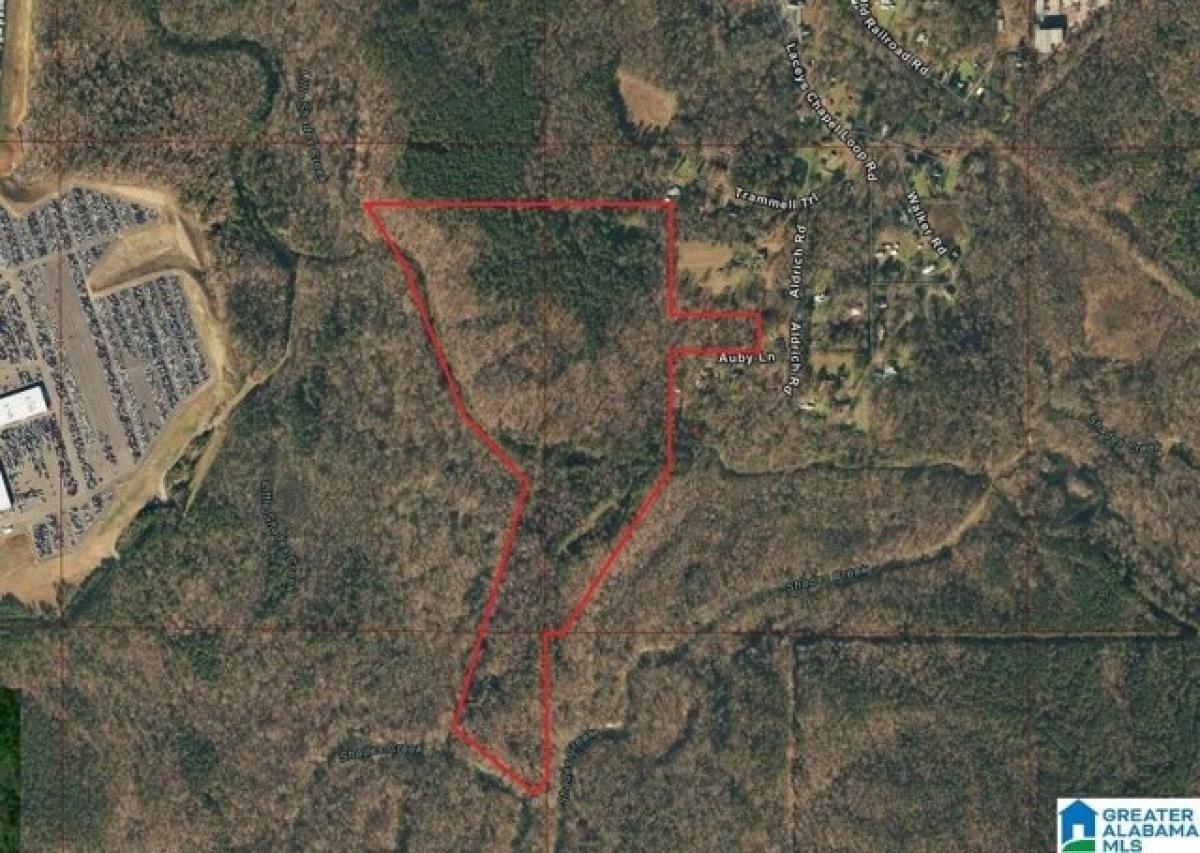 Picture of Residential Land For Sale in Bessemer, Alabama, United States