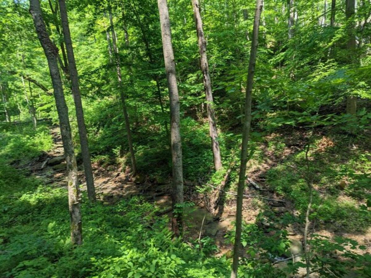 Picture of Home For Sale in Bainbridge, Ohio, United States