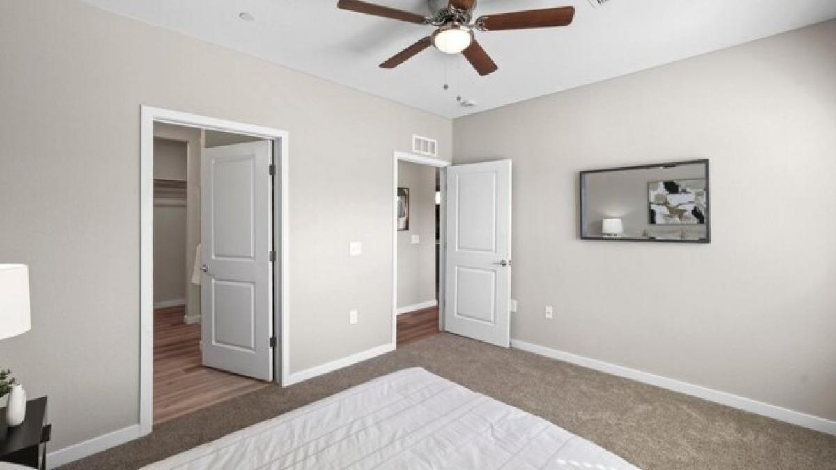 Picture of Apartment For Rent in Fountain, Colorado, United States