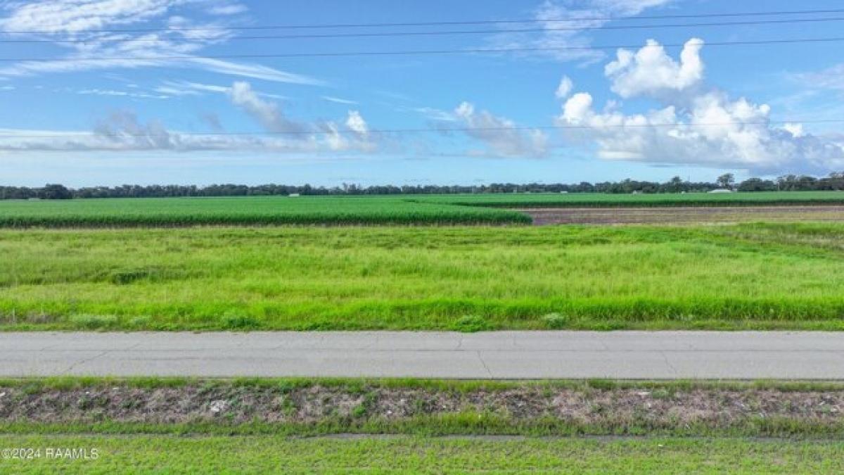 Picture of Residential Land For Sale in New Iberia, Louisiana, United States