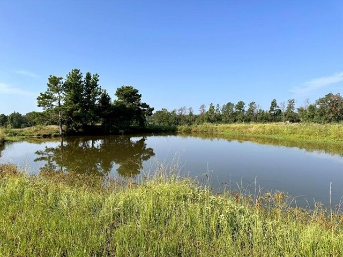 Picture of Residential Land For Sale in Apple Springs, Texas, United States