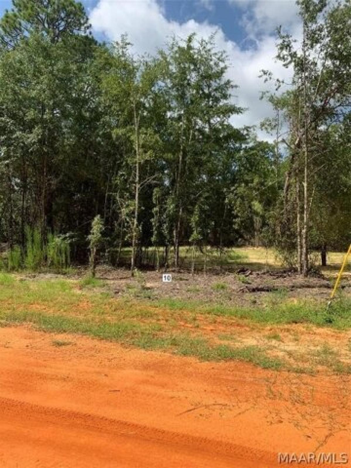 Picture of Residential Land For Sale in Camden, Alabama, United States