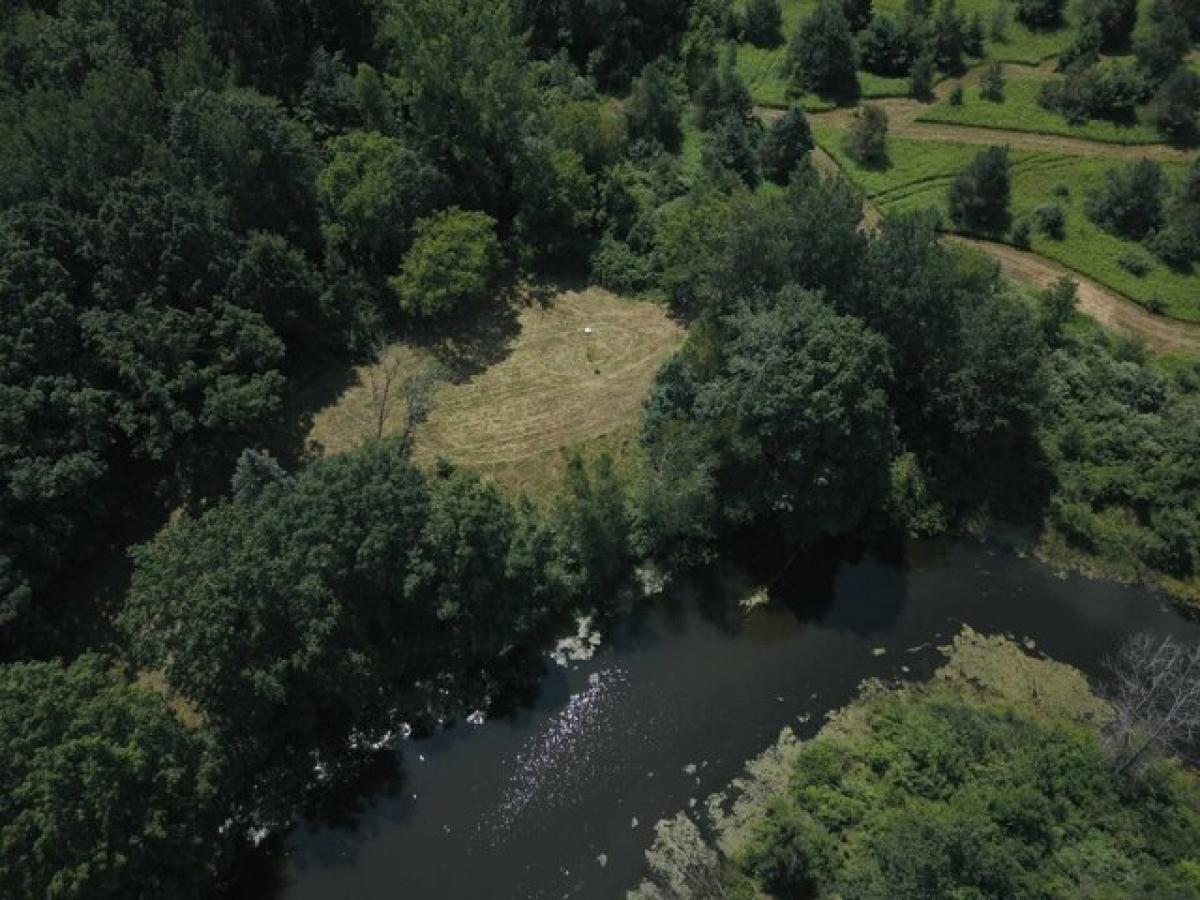 Picture of Residential Land For Sale in Coleman, Michigan, United States