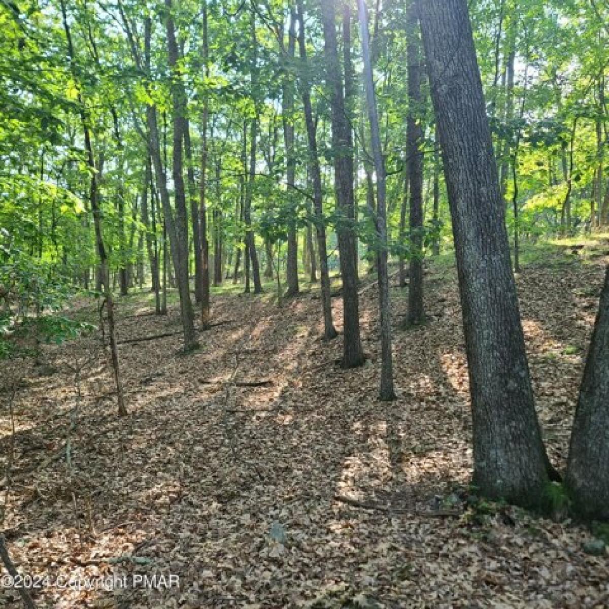 Picture of Residential Land For Sale in Cresco, Pennsylvania, United States