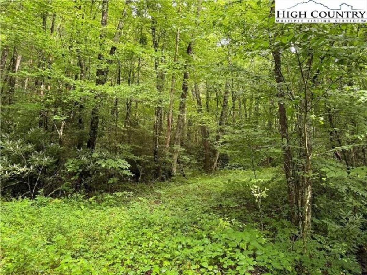 Picture of Residential Land For Sale in Todd, North Carolina, United States