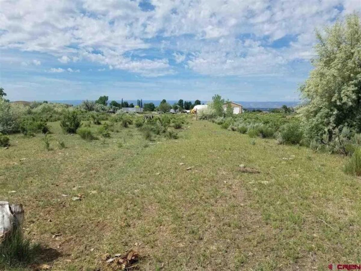 Picture of Residential Land For Sale in Eckert, Colorado, United States