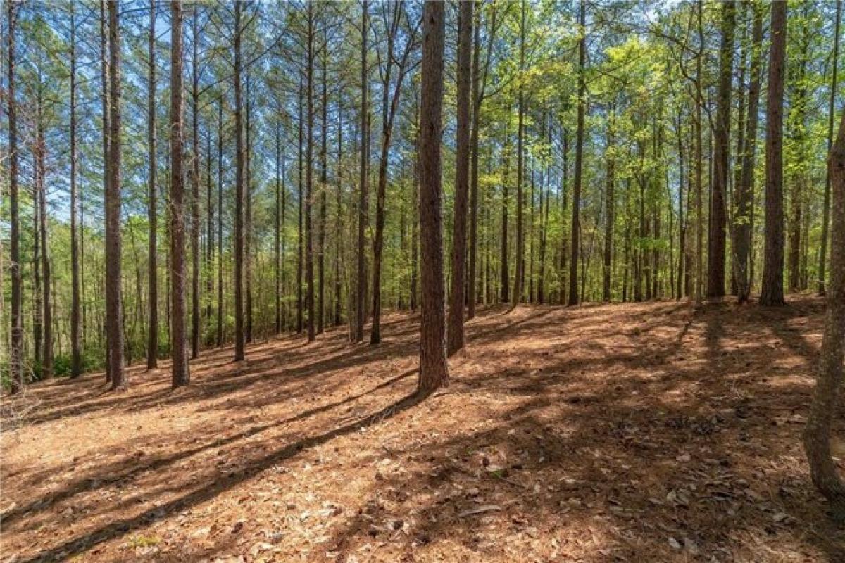 Picture of Residential Land For Sale in Salem, South Carolina, United States