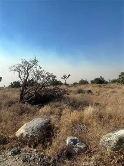 Residential Land For Sale in Llano, California