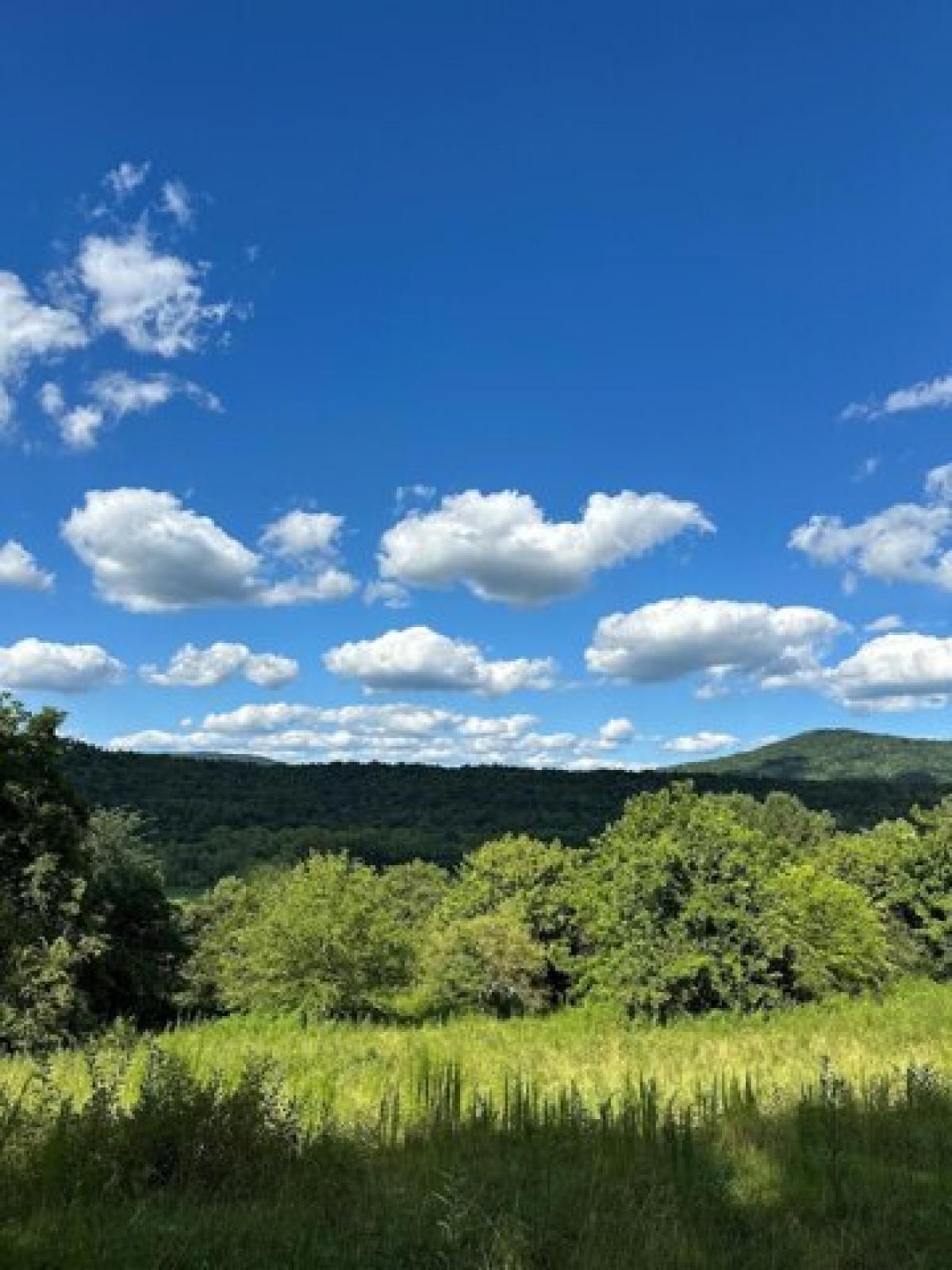 Picture of Residential Land For Sale in South Pittsburg, Tennessee, United States