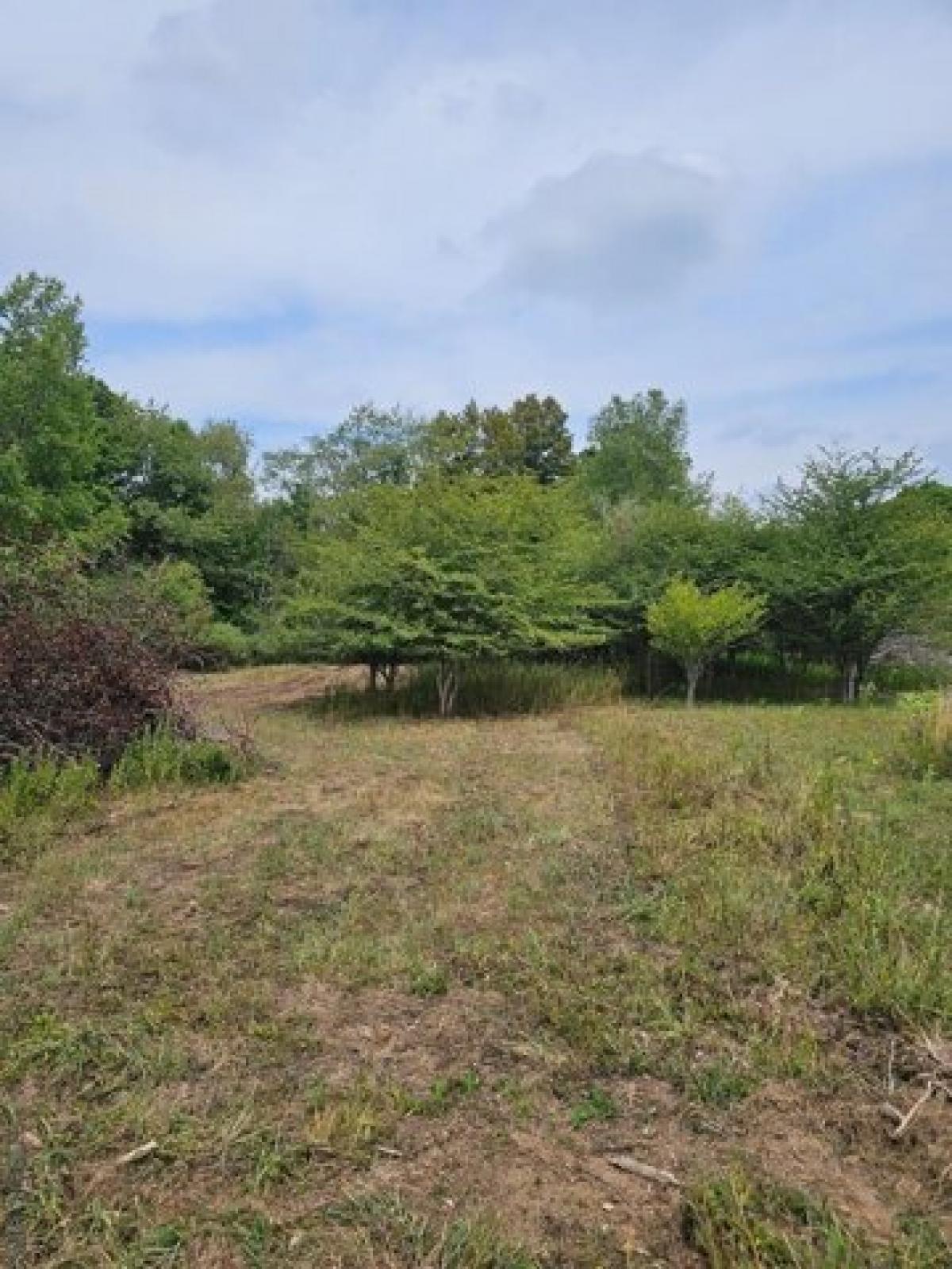 Picture of Residential Land For Sale in Central City, Pennsylvania, United States