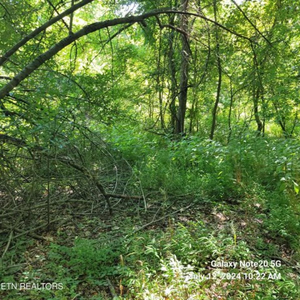 Picture of Residential Land For Sale in Tazewell, Tennessee, United States