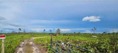 Residential Land For Sale in Saint Cloud, Florida