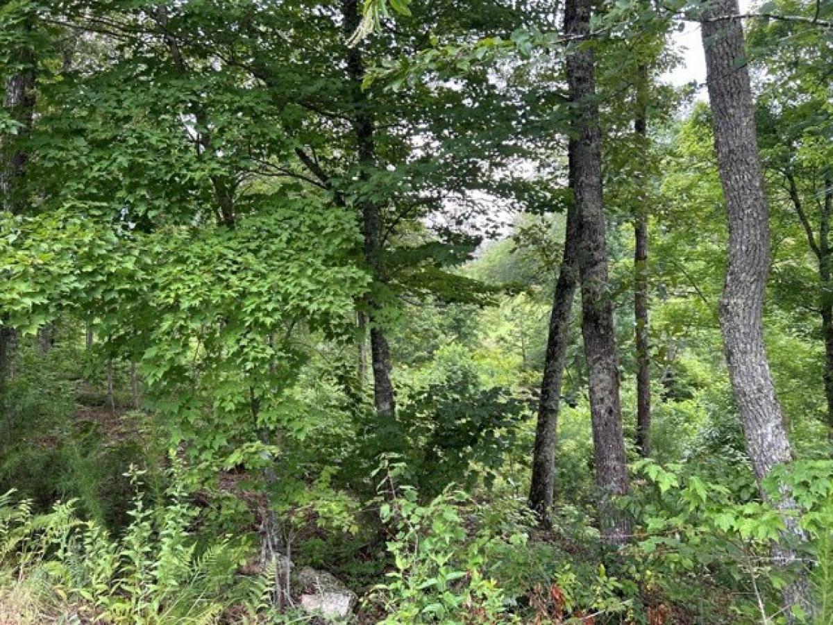 Picture of Residential Land For Sale in Mineral Bluff, Georgia, United States