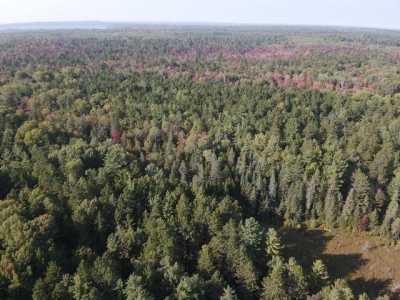 Residential Land For Sale in Indian River, Michigan