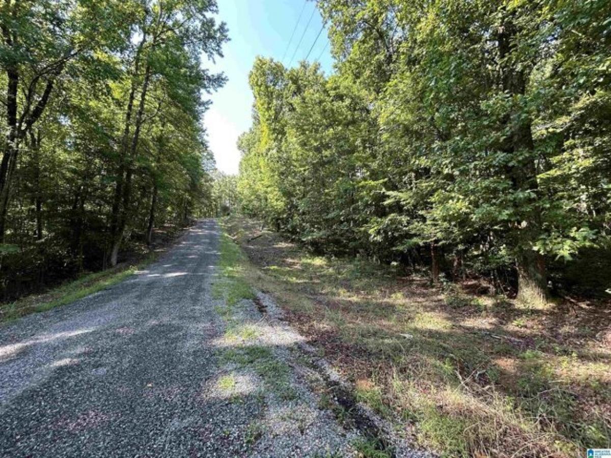 Picture of Residential Land For Sale in Talladega, Alabama, United States