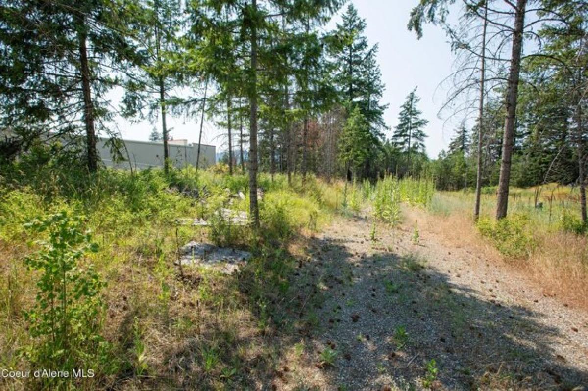 Picture of Residential Land For Sale in Spirit Lake, Idaho, United States