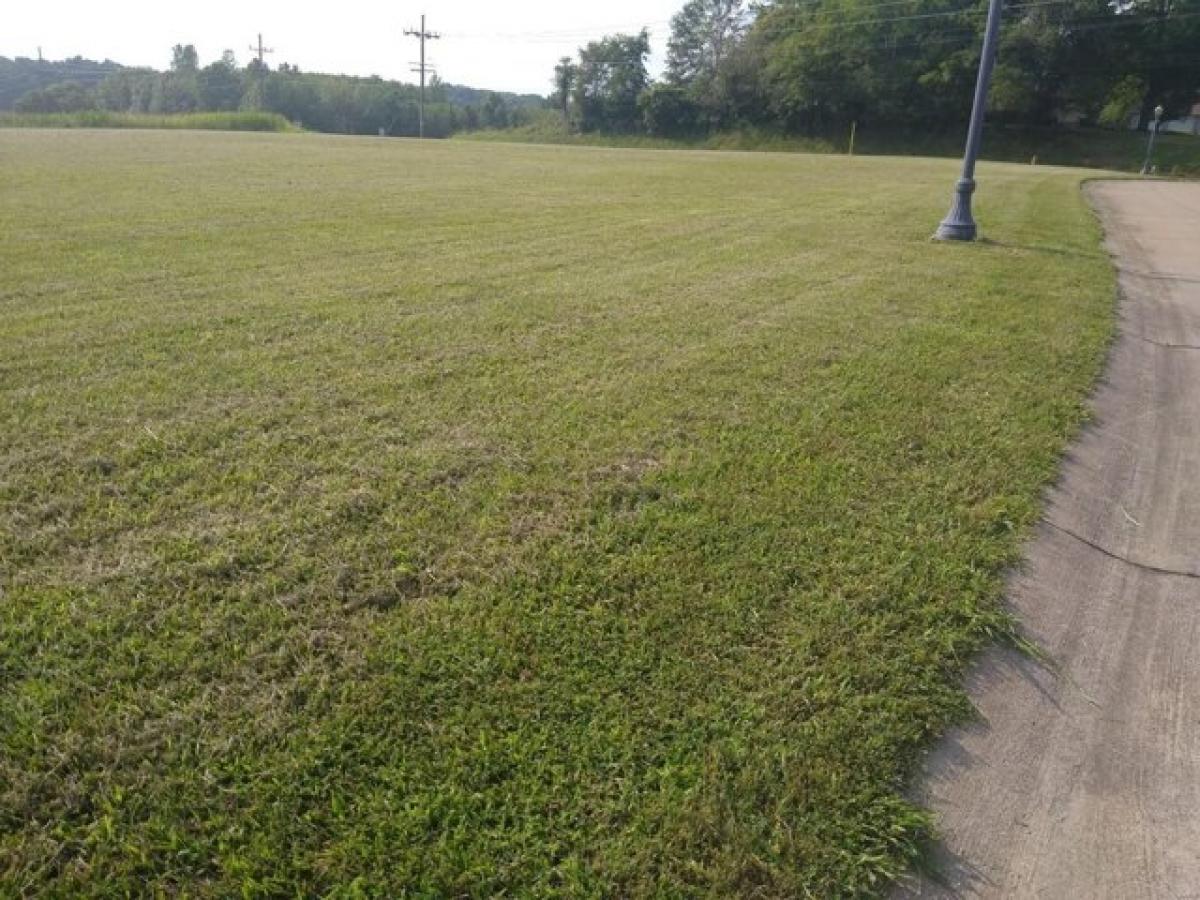 Picture of Residential Land For Sale in Steeleville, Illinois, United States