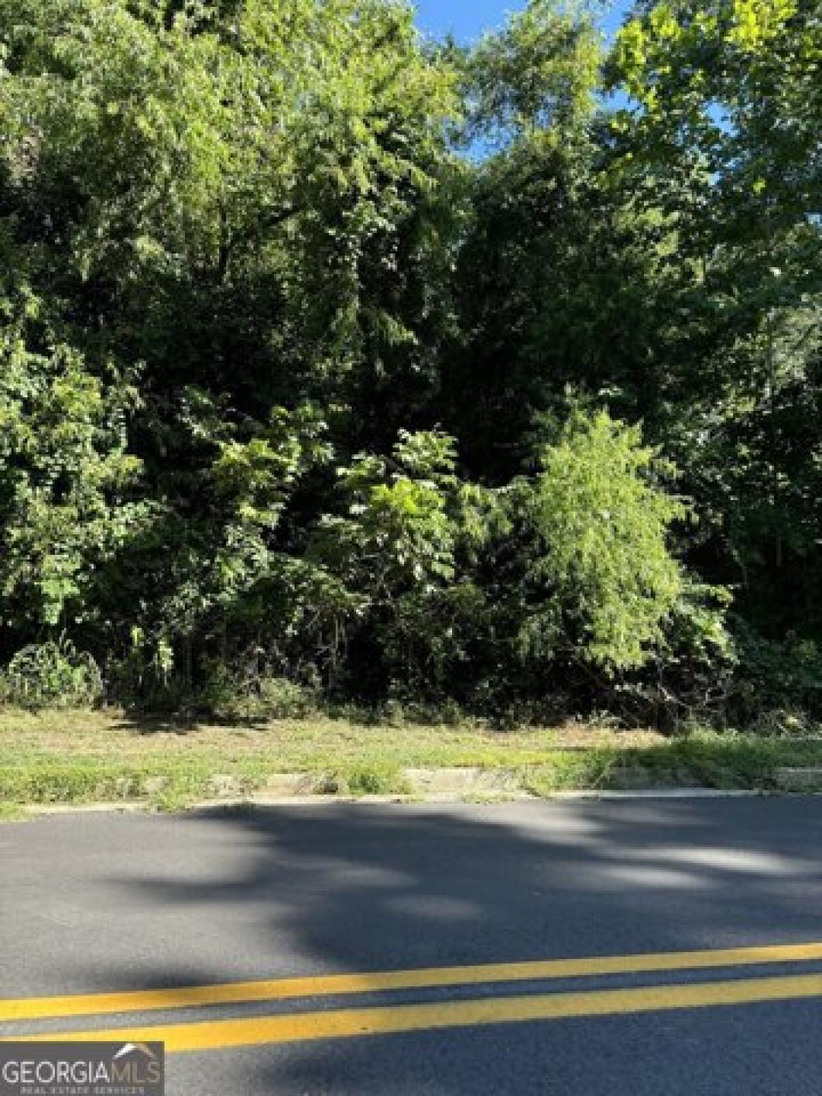 Picture of Residential Land For Sale in Sylvania, Georgia, United States