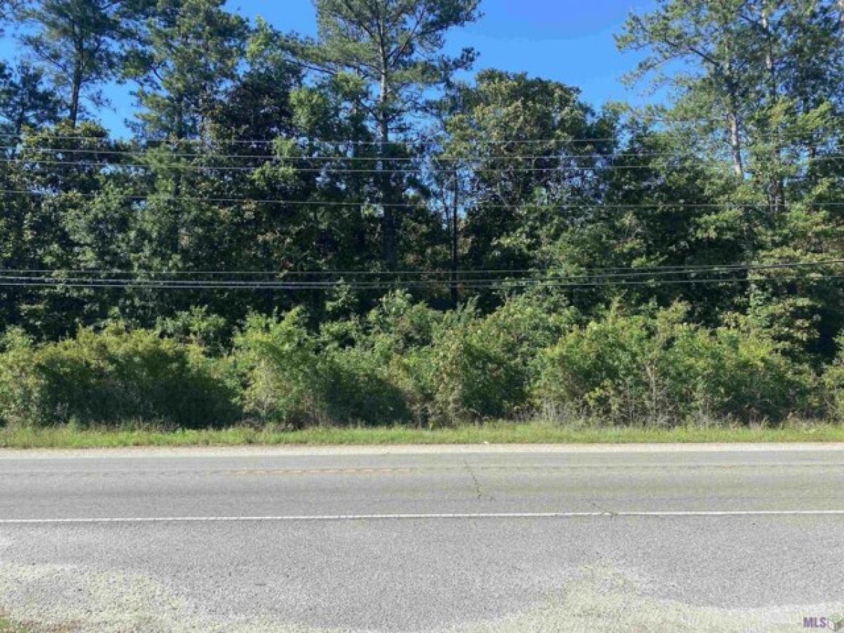 Picture of Residential Land For Sale in Lacombe, Louisiana, United States