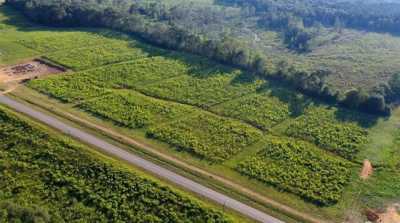 Residential Land For Sale in New Brockton, Alabama