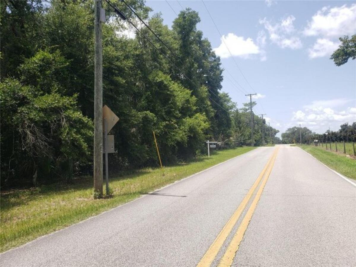 Picture of Residential Land For Sale in De Leon Springs, Florida, United States