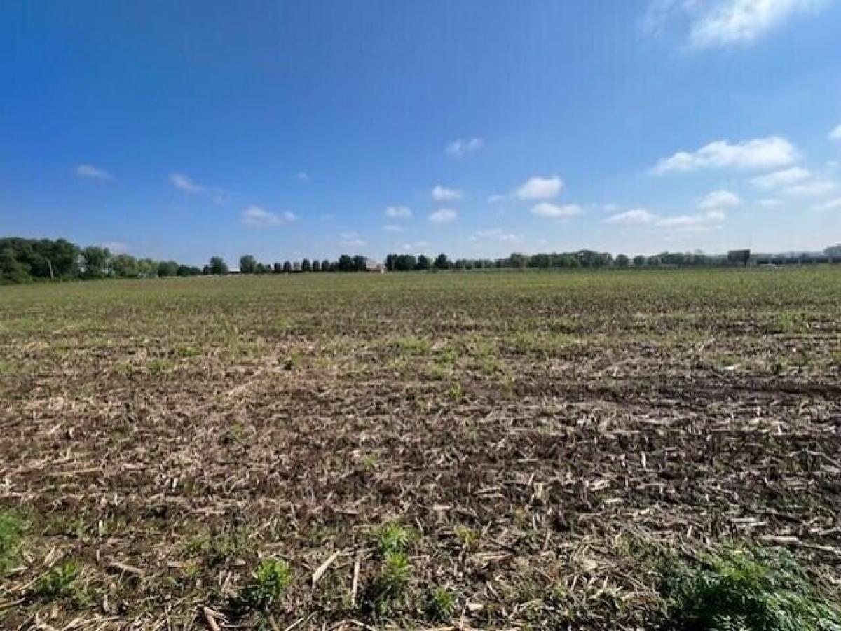 Picture of Residential Land For Sale in Carroll, Ohio, United States