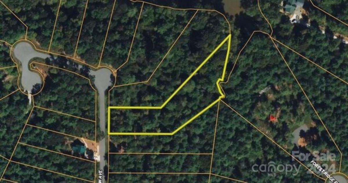 Picture of Residential Land For Sale in Valdese, North Carolina, United States