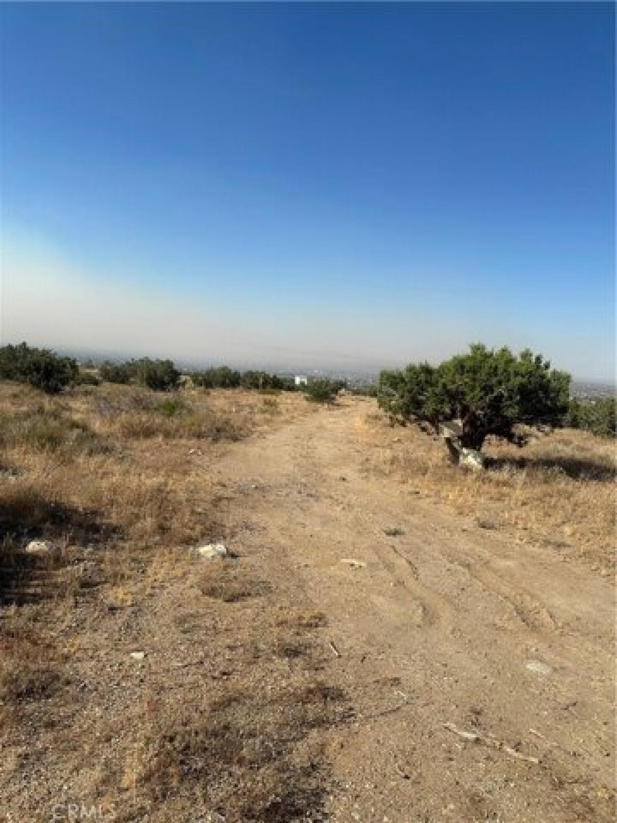 Picture of Residential Land For Sale in Llano, California, United States