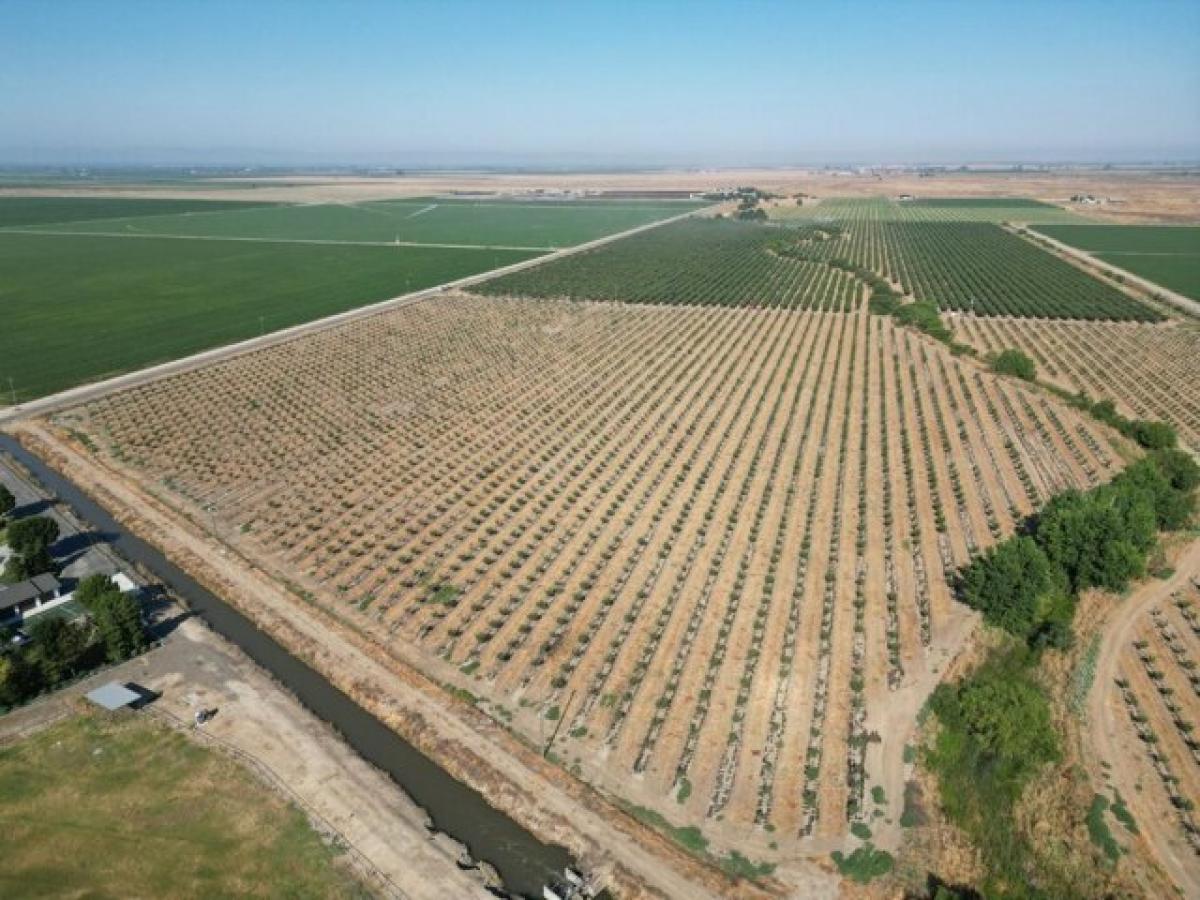 Picture of Residential Land For Sale in Merced, California, United States