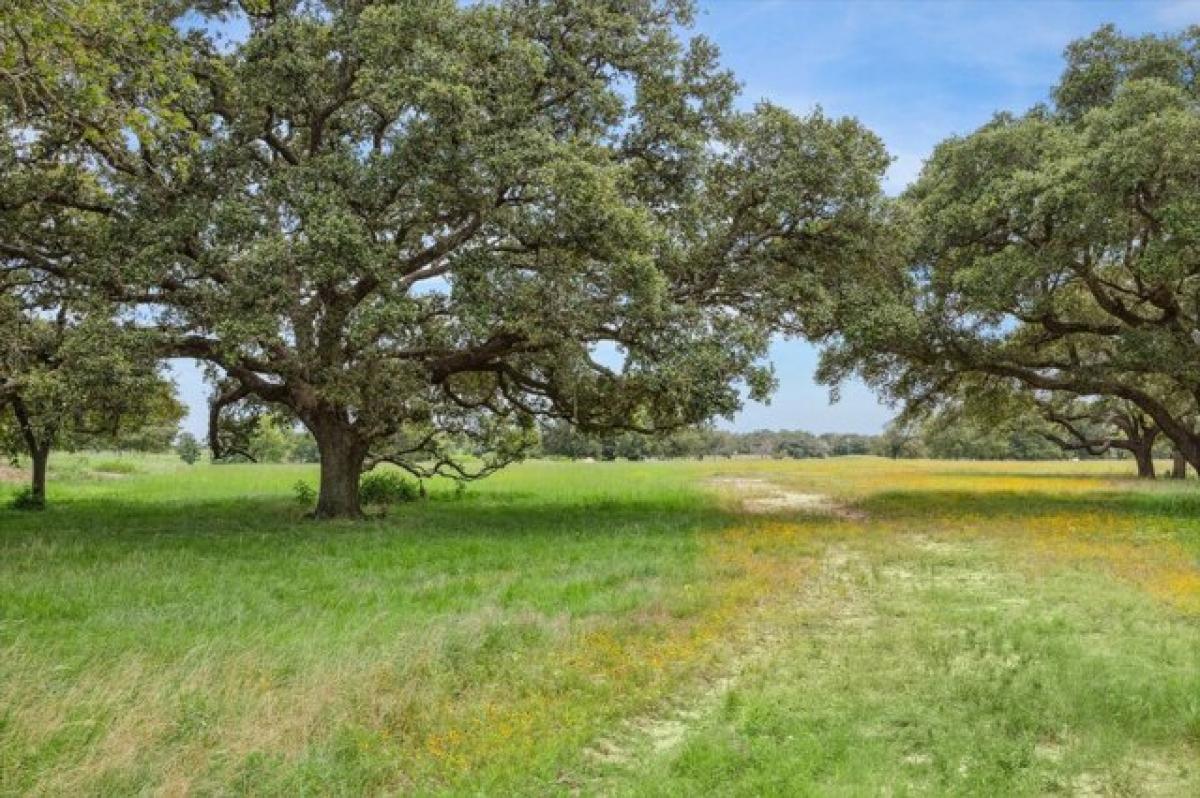 Picture of Residential Land For Sale in Weimar, Texas, United States