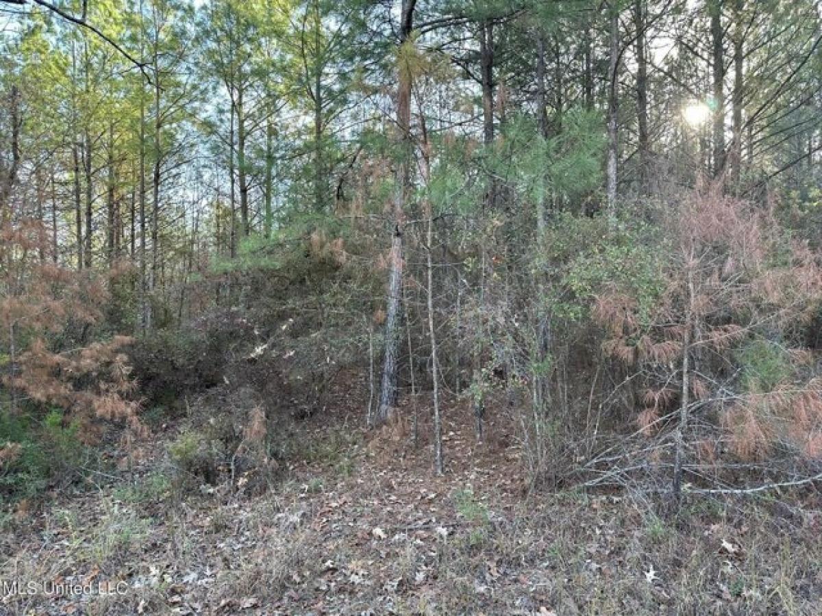 Picture of Residential Land For Sale in Wesson, Mississippi, United States