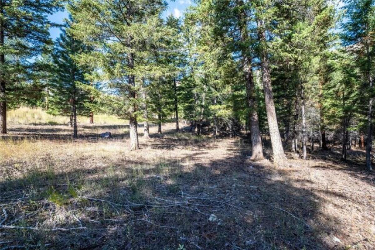 Picture of Residential Land For Sale in Clinton, Montana, United States