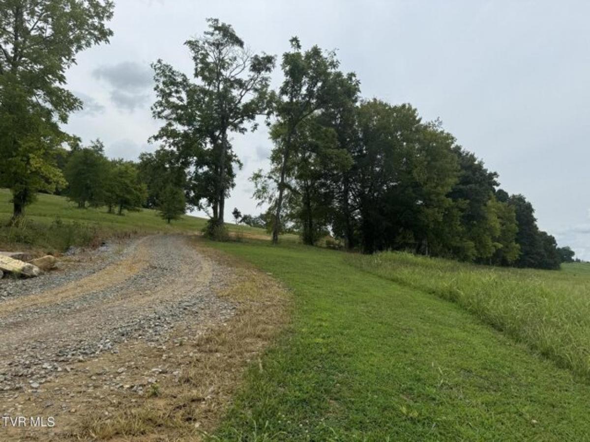 Picture of Residential Land For Sale in Greeneville, Tennessee, United States