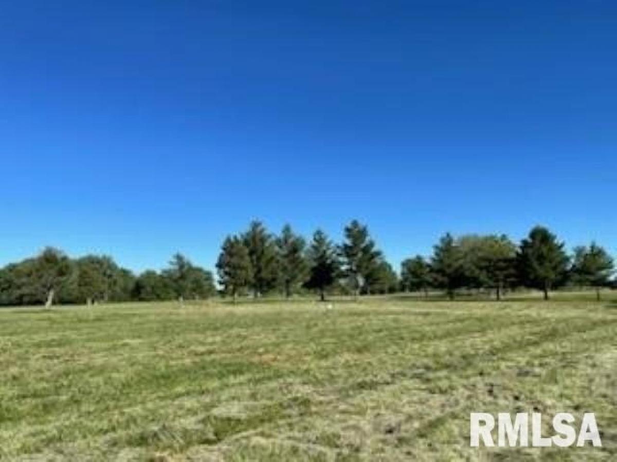 Picture of Residential Land For Sale in Cuba, Illinois, United States