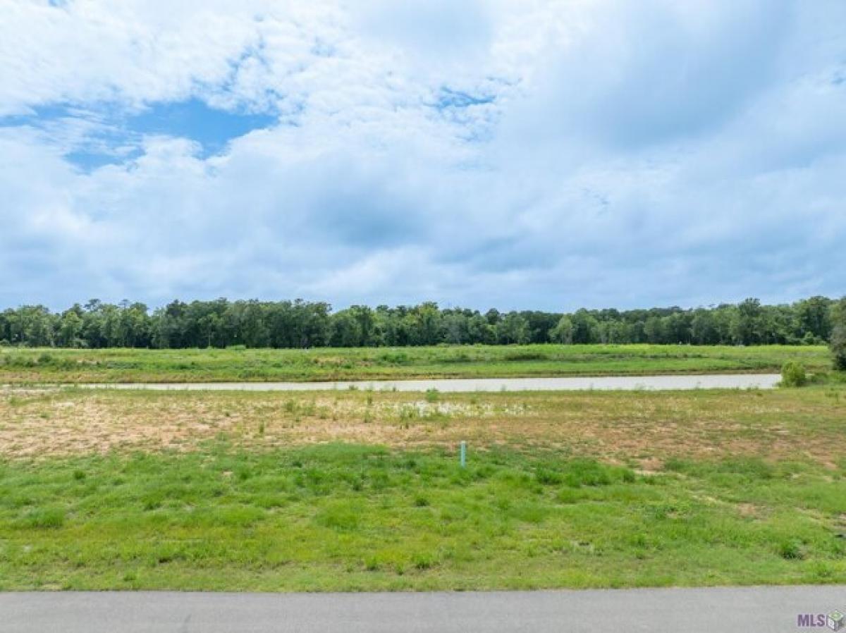 Picture of Residential Land For Sale in Prairieville, Louisiana, United States