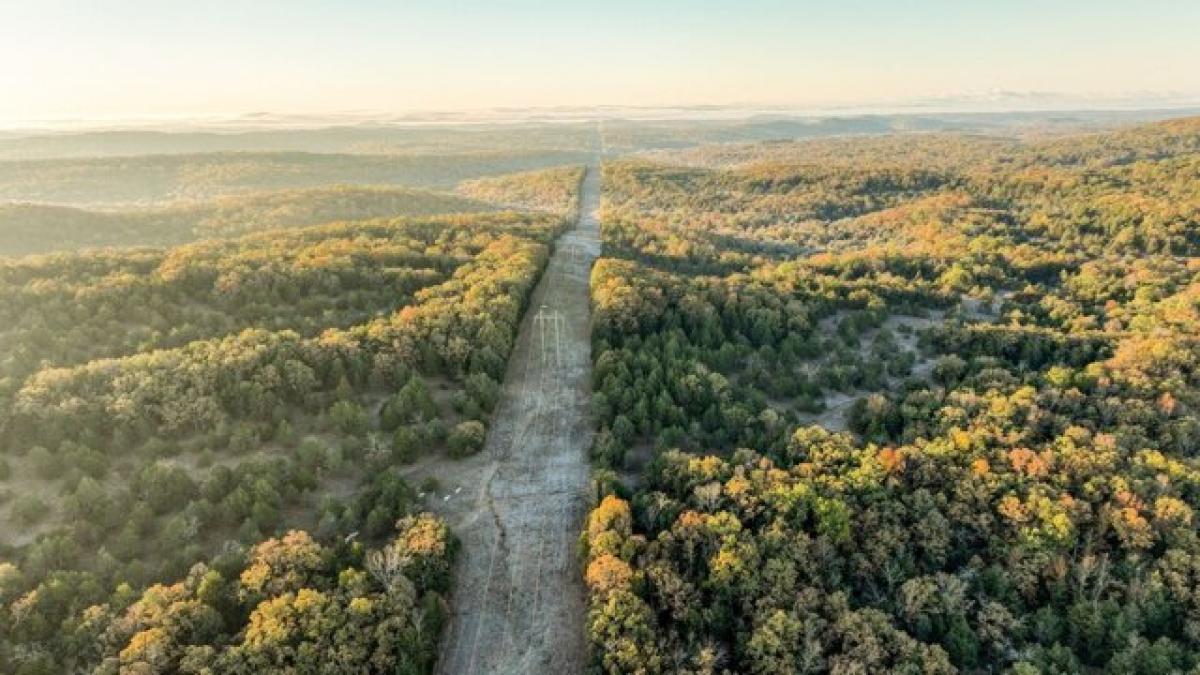 Picture of Residential Land For Sale in Gainesville, Missouri, United States