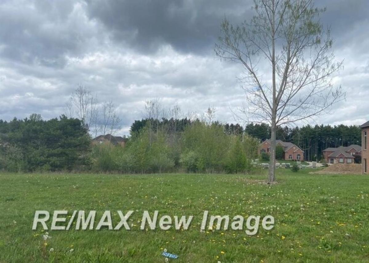 Picture of Residential Land For Sale in Davison, Michigan, United States