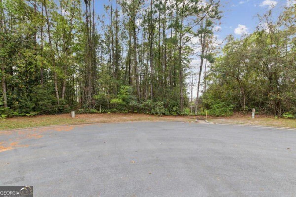 Picture of Residential Land For Sale in Woodbine, Georgia, United States