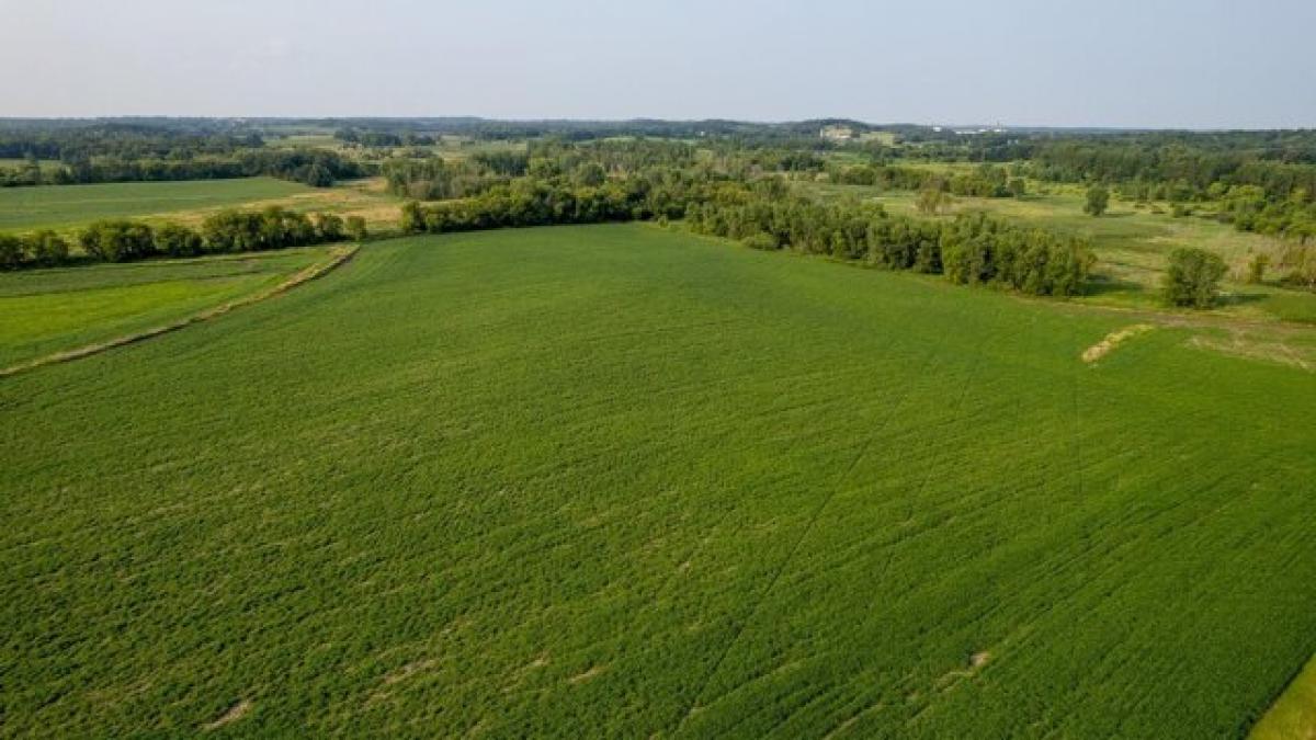 Picture of Residential Land For Sale in Cottage Grove, Wisconsin, United States