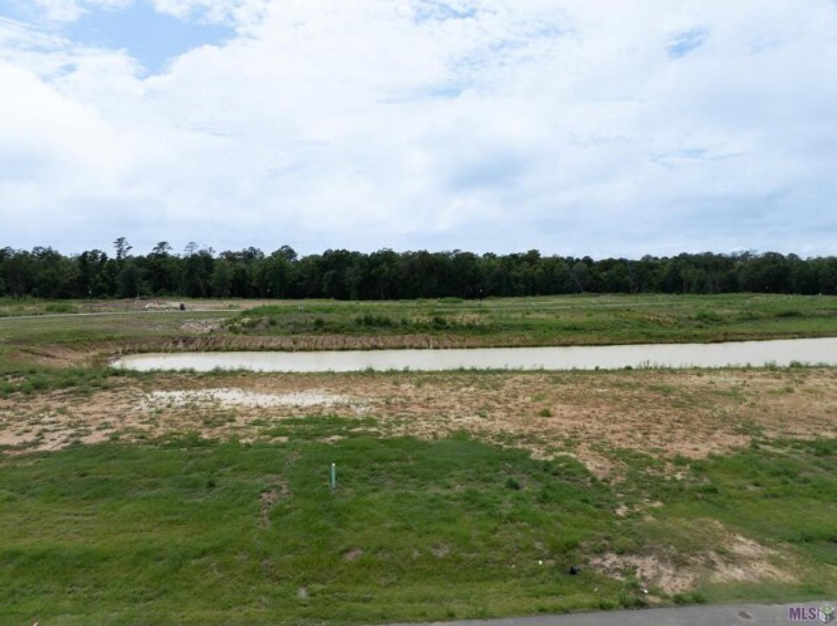 Picture of Residential Land For Sale in Prairieville, Louisiana, United States