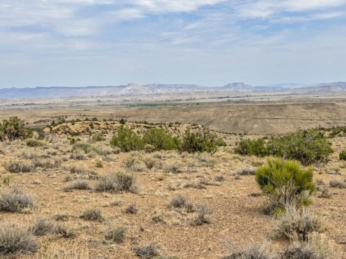 Picture of Residential Land For Sale in Whitewater, Colorado, United States