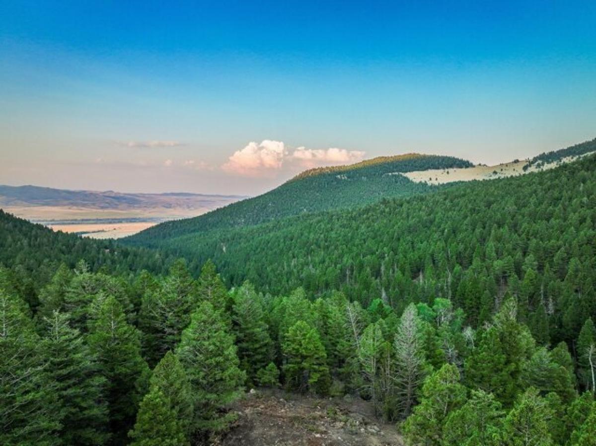 Picture of Residential Land For Sale in Boulder, Montana, United States