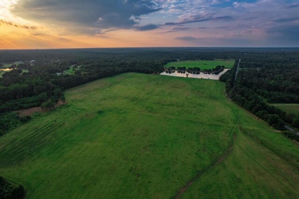 Picture of Residential Land For Sale in Griffin, Georgia, United States