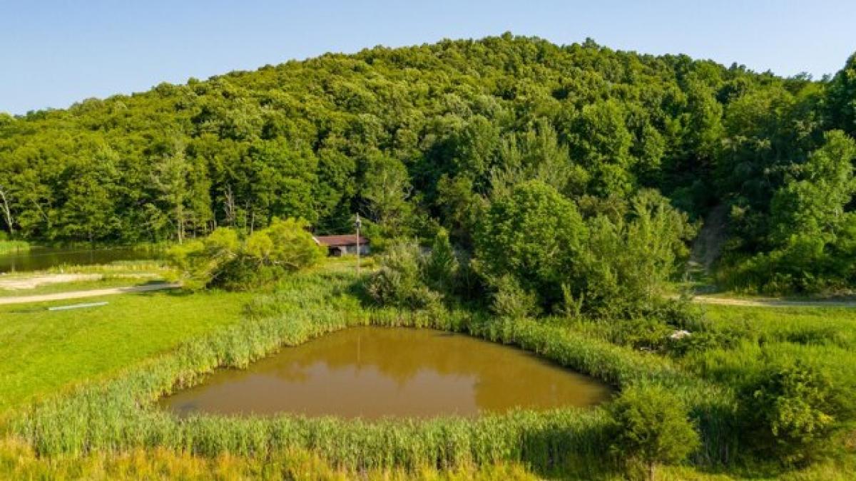 Picture of Residential Land For Sale in Union, West Virginia, United States